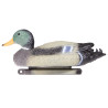 Forme de Colvert Male