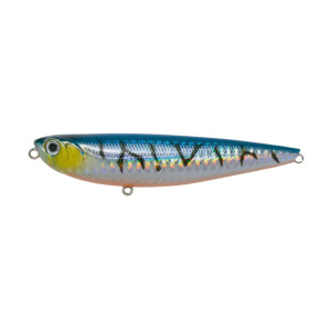 POISSON NAGEUR ADAM'S PENCIL 100 F 033 HIGHT HG IWASHI
