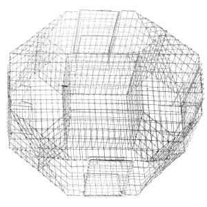 CAGE À PIES