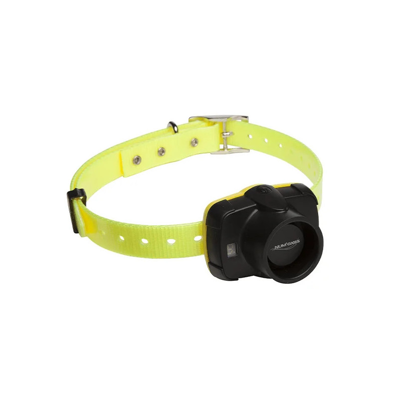 Beeper CANIBEEP 5