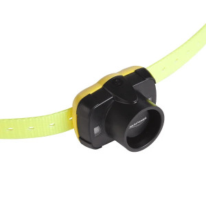 Beeper CANIBEEP 5