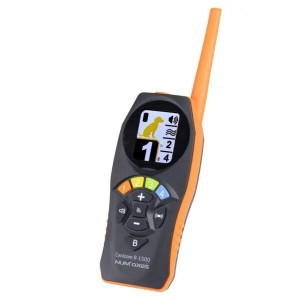 Ensemble de dressage rechargeable CANICOM R-1500