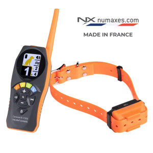 Ensemble de dressage rechargeable CANICOM R-1500