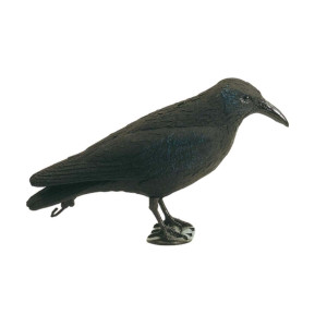 Appelant corbeau